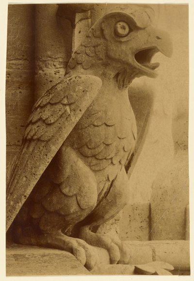 [Gargoyle, Notre-Dame] da Unknown artist