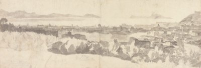 Veduta generale di Napoli da Unknown artist