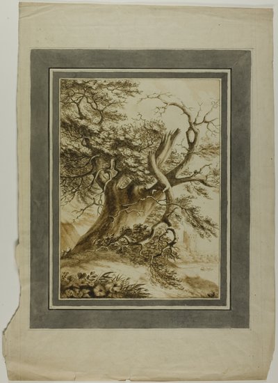 Quercia gigante da Unknown artist