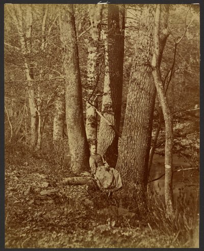[Ragazza seduta tra gli alberi] da Unknown artist