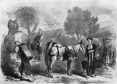 Vendemmia a Cipro - Incisione da "Le Journal Illustré" da Unknown artist