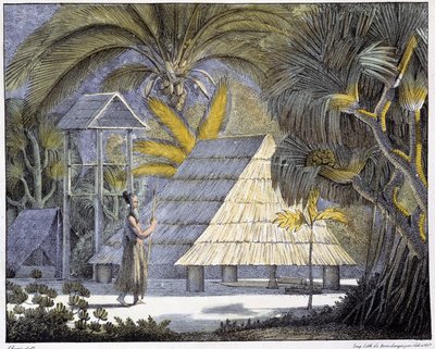 Abitazione sulle isole Radak, arcipelago delle Isole Marshall. Incisione del XIX secolo. da Unknown artist