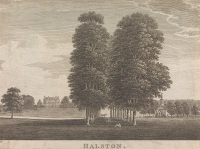 Halston; pagina 22 (Volume Due) da Unknown artist