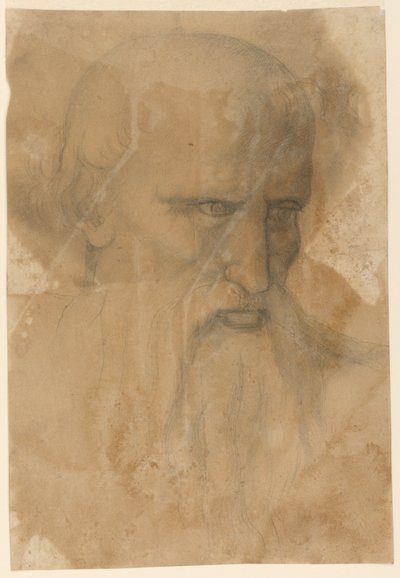 Testa di un uomo anziano con barba da Unknown artist
