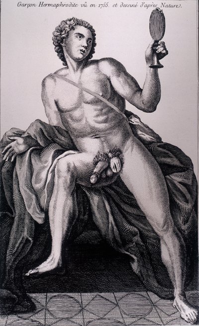 Ragazzo ermafrodito visto nel 1755 e disegnato dal vero da Unknown artist