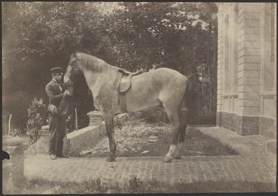 [Cavallo e uomo] da Unknown artist
