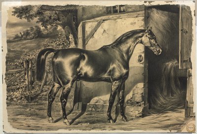 Cavallo davanti a un fienile (verso) da Unknown artist