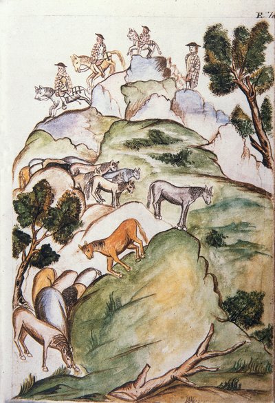 Custodi di cavalli circondano le giumente nelle montagne per catturarle, dal libro "Trujillo del Peru" o "Codice Martínez Compañón", di Baltazar Martinez Compañón y Bujanda, vescovo di Trujillo (1782-1785) da Unknown artist
