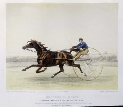 Equitazione: Shepherd F. Knapp, trottatore - in "il centauro" da Unknown artist