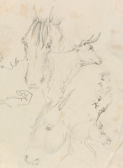 Cavalli, mucca e uomini da Unknown artist