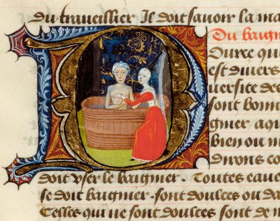 Igiene e benefici della toilette, dal Trattato di Medicina di Aldebrando di Firenze, manoscritto da Unknown artist