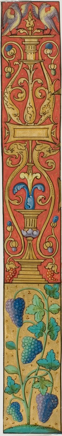 Bordo miniato con uva, uccelli e grottesche da un manoscritto da Unknown artist