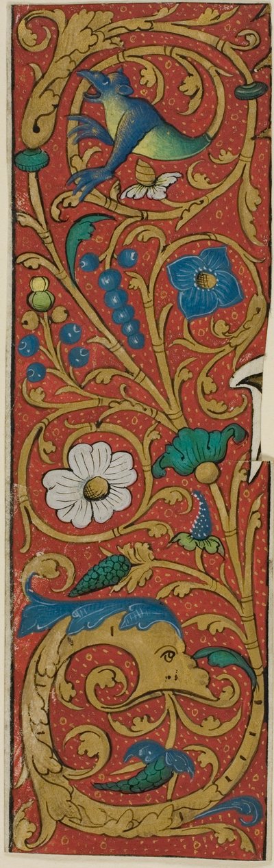 Bordo miniato con grottesche e flora da un manoscritto da Unknown artist