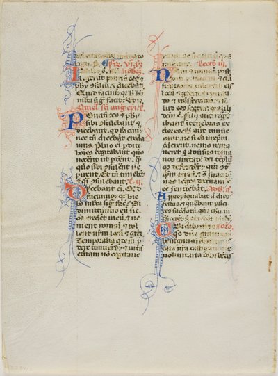 Foglio di manoscritto miniato da Unknown artist