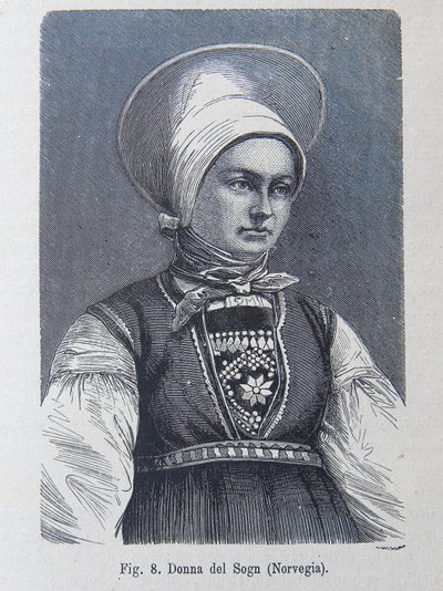 Illustrazione da "La razza umana" di Louis Figuier da Unknown artist