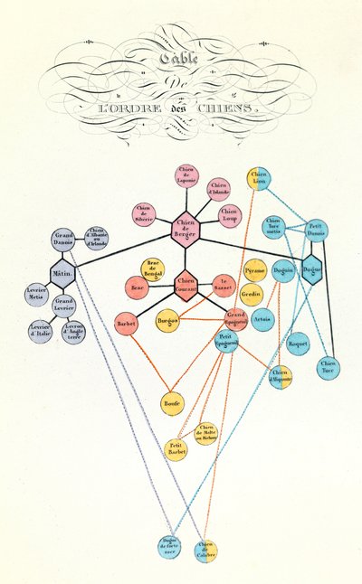 Illustrazione dal libro "Opere complete di Buffon": Les animaux domestiques: Table de l