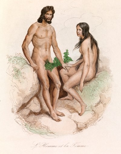 Illustrazione tratta dal libro "Opere complete di Buffon": Storia naturale dell