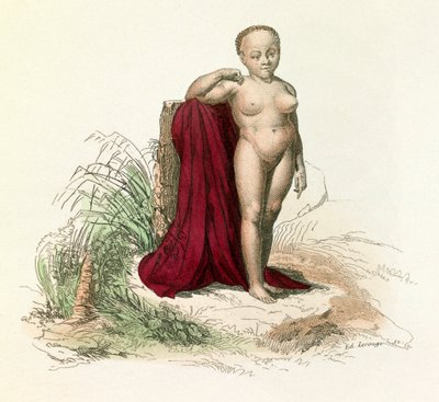 Illustrazione tratta dal libro "Opere complete di Buffon": Storia naturale dell