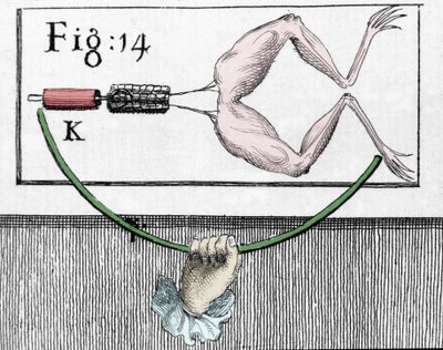 Illustrazione degli esperimenti di Luigi Galvani, fisico e medico italiano, che spiegano il passaggio della corrente elettrica che muove le gambe di una rana da Unknown artist