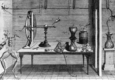 Illustrazione degli esperimenti di Luigi Galvani, fisico e medico italiano (1737 - 1798) che spiegano il passaggio della corrente elettrica che muove le zampe di una rana da Unknown artist