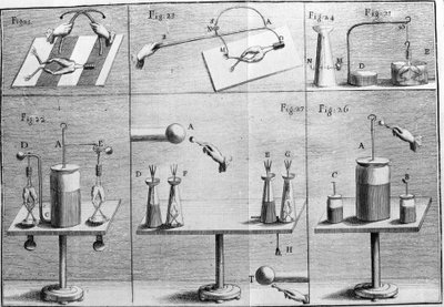 Illustrazione degli esperimenti di Luigi Galvani, fisico e medico italiano (1737 - 1798) che spiegano il passaggio della corrente elettrica che muove le zampe di una rana da Unknown artist