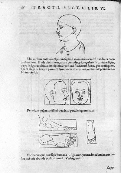Immagine di fisiognomica da 