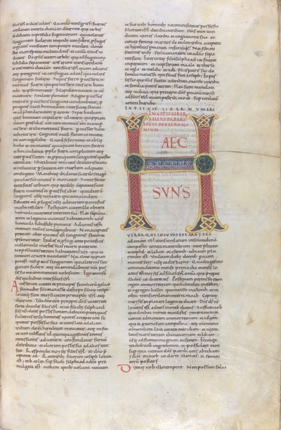 Incipit del Libro del Deuteronomio, Capolettera con la scritta Haec sun, XI secolo (miniatura, manoscritto membranaceo) da Unknown artist