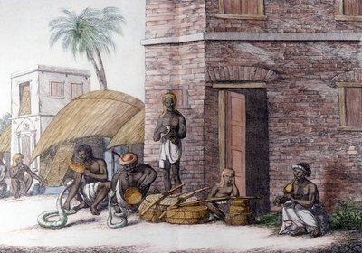 Cultura e civiltà indiana: Incantatori di serpenti in India da Unknown artist