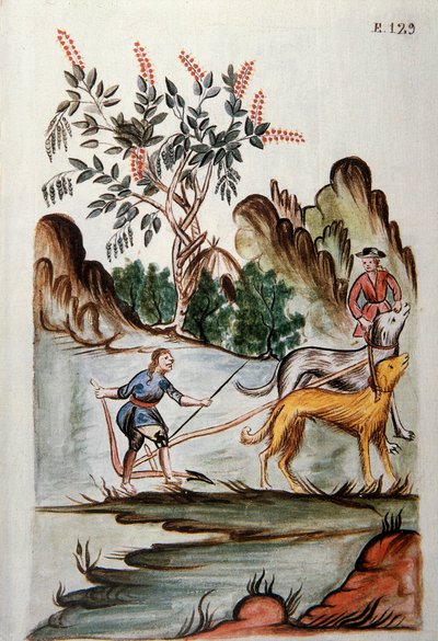 Indiani che arano un campo con cani, dal libro "Trujillo del Peru" o "Codice Martínez Compañón", di Baltazar Martinez Compañón y Bujanda, vescovo di Trujillo (1782-1785) da Unknown artist