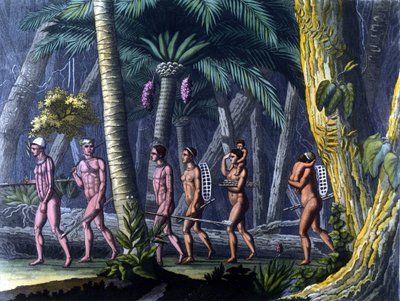 Indiani Puris nella foresta (Brasile) - in 