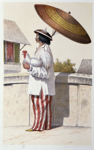 Indigeno dell