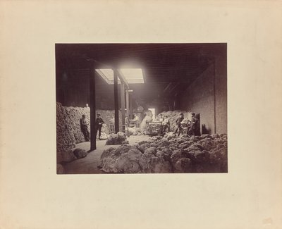 [Interno della casa di smistamento della lana, Walter Brown and Company]. da Unknown artist