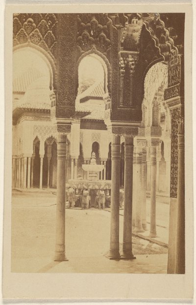 [Vista interna di colonne, l