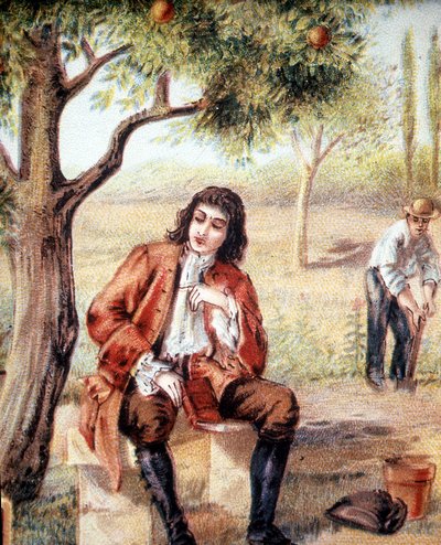 Isaac Newton (1642-1727), matematico, fisico e astronomo inglese, scopre la teoria della gravitazione osservando la caduta di un melo, illustrazione del XIX secolo. da Unknown artist