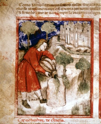 Giacobbe. Pagina di un manoscritto del Pentateuco. XIV secolo da Unknown artist