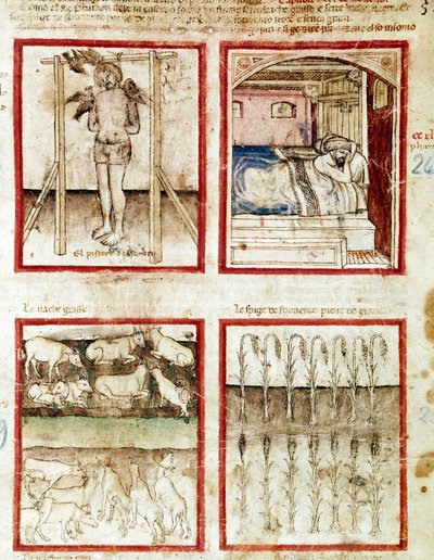 Giuseppe interpreta i sogni del panettiere che finisce decapitato. In alto a destra, il faraone sogna le sette vacche grasse, premonizione degli anni di abbondanza e le sette vacche magre degli anni di carestia Miniatura dal Codice 212 da Unknown artist
