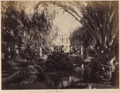 I giardini del Khedive da Unknown artist