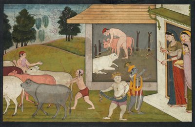 Krishna e Balarama portano il bestiame al pascolo, dal Bhagavata Purana da Unknown artist