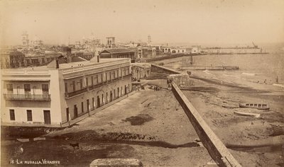 La Muralla, Veracruz da Unknown artist