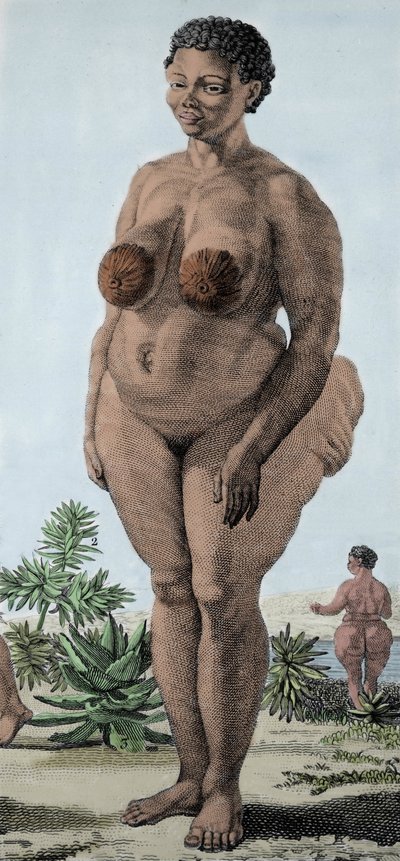 La Venere Ottentotta, donna della razza Bochiman; incisione del 1815 da Unknown artist