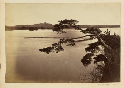 [Paesaggio con lago e alberi] da Unknown artist