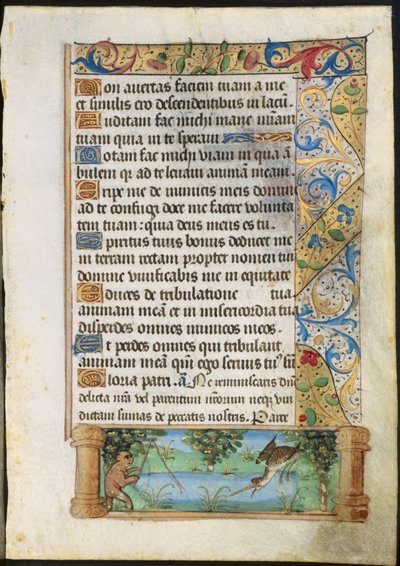 Foglio da un Libro d