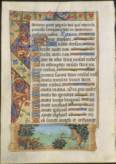 Foglio da un Libro d