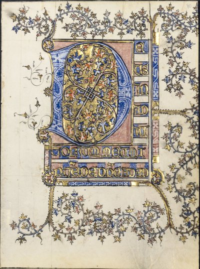 Foglio da un Libro d
