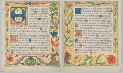 Foglio da un Salterio e Libro di Preghiere: Iniziale E con Bordo Ornamentale Contenente un Satiro Seduto e un Uccello che Mangia Uva (recto) e Bordo Ornamentale con Fiori e Scoiattolo (verso) (2 di 3 Fogli Ritagliati) da Unknown artist