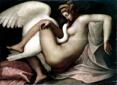 Leda e il cigno (dettaglio) da Unknown artist