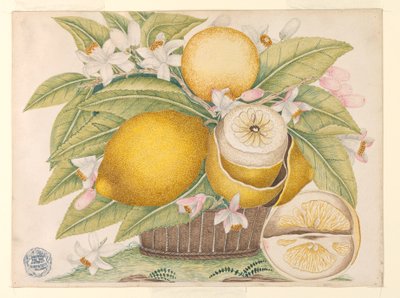 Limoni e fiori di limone in un cesto da Unknown artist