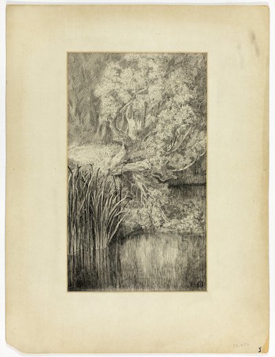 Piccolo stagno nel bosco da Unknown artist