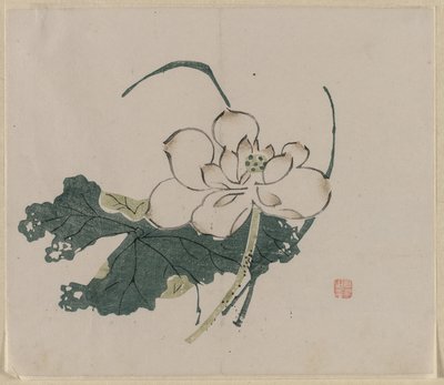 Fiore di loto da Unknown artist