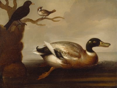 Anatra Germano Reale e Altri Uccelli da Unknown artist